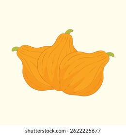 Boston marrow vegetables flat design cartoon illustration