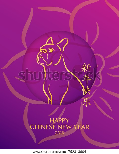 Boston Terrier 2018 Chinese New Year Royalty Free Stock Image