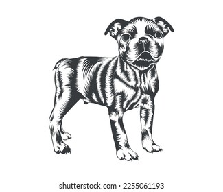 Boston Terrier Breed Vector Illustration  Boston Terrier Dog Vector White Background for t  shirt  logo    others