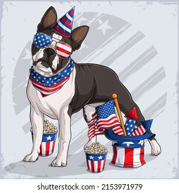 Boston Terrier dog breed in 4th of July disguise wearing Uncle Sam hat, with USA flag and fireworks 