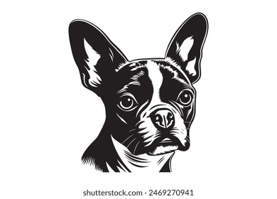 Boston Terrier dog breed face head isolated pet animal domestic pet canine puppy purebred pedigree hound portrait  smiling smile happy art artwork illustration design set