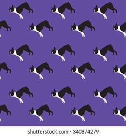 Boston Terrier Dog Breed Seamless Pattern