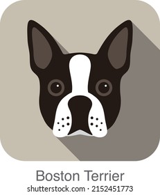 Personaje de perro de Boston terrier, serie de imágenes de dibujos animados de raza de perros