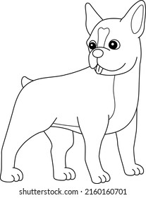 Boston Terrier Dog Coloring Page Isolated For Kids