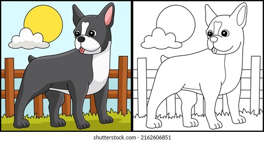 Boston Terrier Dog Coloring Page Illustration