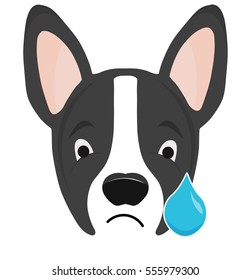 Boston Terrier Dog Emoji Sad Crying Tear Face