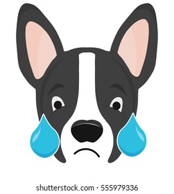 Boston Terrier Dog Emoji Sad Crying Face
