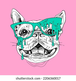 Boston Terrier dog in the glasses. Grime art. Doodled upon with drooping, cartoonish drops of slimy flesh in vibrant colours. Zombie-like images. Humor card, hand drawn style. Vector illustration.