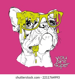 Boston Terrier dog in the glasses. Grime art. Doodled upon with drooping, cartoonish drops of slimy flesh in vibrant colours. Zombie-like images. Humor card, hand drawn style. Vector illustration.