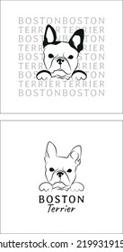 Boston Terrier dog head  Cute funny dog  Character design  isolated outline vector illustration  dog logo  American Gentleman logo  website  t  shirt    card graphic  Terrier and paws poster 