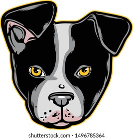 Boston Terrier dog head vector