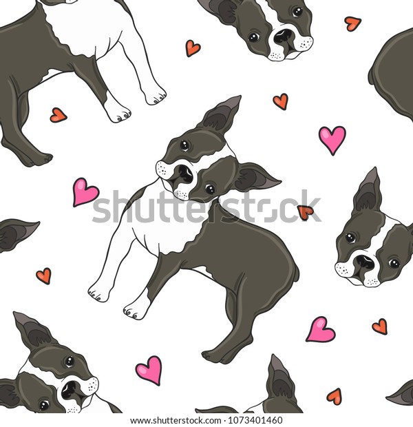 ボストンテリアの犬とハートのベクター画像のシームレスなパターン のベクター画像素材 ロイヤリティフリー