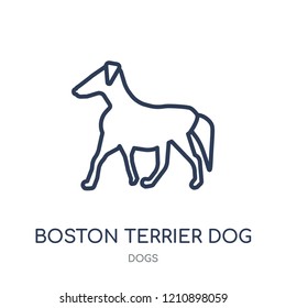 Boston Terrier dog icon. Boston Terrier dog linear symbol design from Dogs collection. Simple outline element vector illustration on white background.