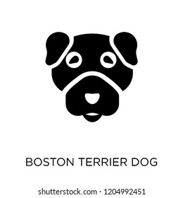 Boston Terrier dog icon. Boston Terrier dog symbol design from Dogs collection. Simple element vector illustration on white background.