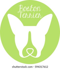 Boston Terrier dog line art logo design icon for pet lovers