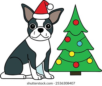 Boston terrier dog on Christmas day