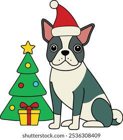 Boston terrier dog on Christmas day