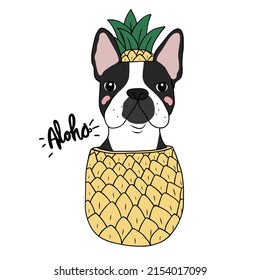 Boston Terrier dog in pineapple cartoon vector illustration