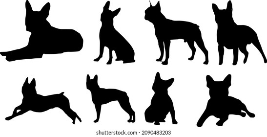 Boston Terrier Dog Silhouette Bundle SVG svg