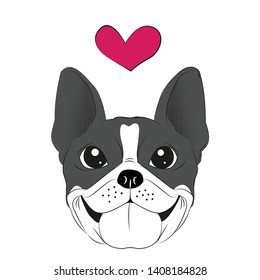 Boston terrier dog thinking heart hand drawn on white background illustration.- vector