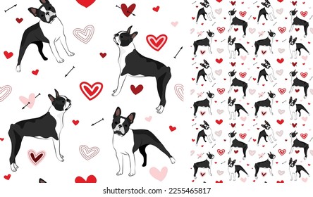 Boston terrier dog Valentine's day heart wallpaper. Love doodles hearts with pets holiday texture. square background, repeatable pattern. St Valentine's day wallpaper, valentine present, print tiles.