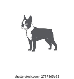 Boston terrier dog vector art silhouette illustration icon.