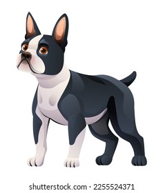 Boston terrier dog vector cartoon illustration