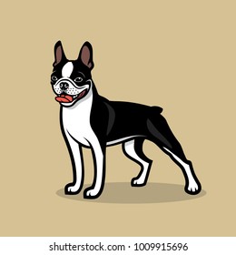 Boston terrier dog - vector illustration