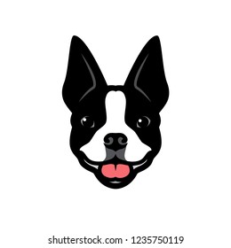 Cartoon Pictures Of Boston Terriers