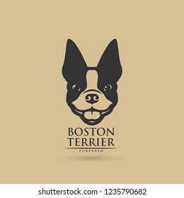 Boston terrier dog - vector illustration