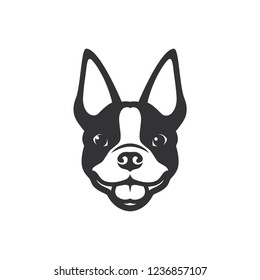 Boston Terrier Dog - Vector Illustration