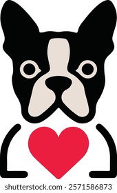 Boston terrier dog vector illustration Design