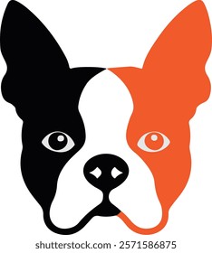 Boston terrier dog vector illustration Design