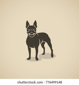 Boston terrier dog - vector illustration