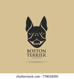 Boston terrier dog - vector illustration