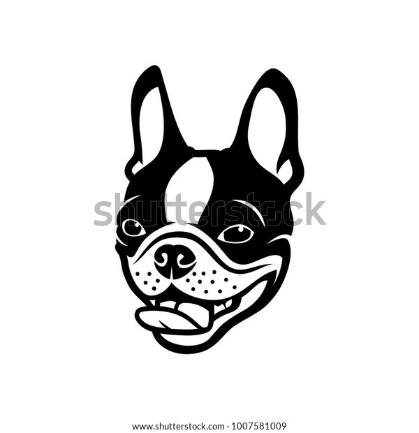 Boston Terrier Dog Vector Illustration Stock Vector (Royalty Free ...