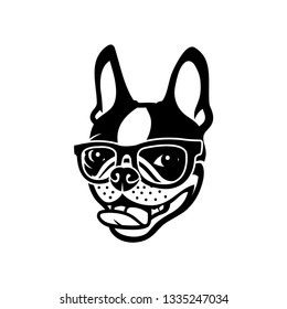 Boston terrier dog wearing eyeglasses - vector illustration