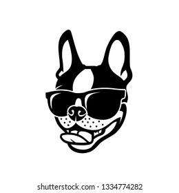 Boston terrier dog wearing sunglasses - vector illustration 