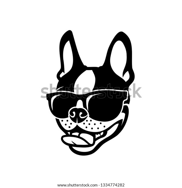 サングラスをかけたボストンテリアの犬 ベクターイラスト のベクター画像素材 ロイヤリティフリー