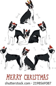 Boston Terrier dogs wearing winter hats. Cute funny dogs. Character design. Abstract Christmas tree. Vector illustration. Merry Christmas greeting card with cute funny dogs. American Gentleman