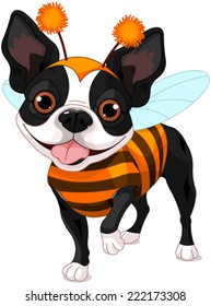 Boston terrier dressed-up like bee for Halloween