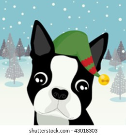 Boston Terrier Elf