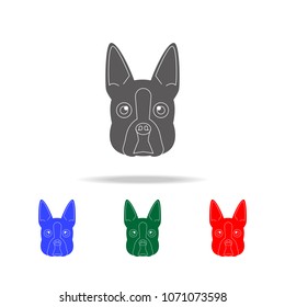 Boston terrier face icon. Elements of dogs multi colored icons. Premium quality graphic design icon. Simple icon for websites, web design mobile app, info graphics on white background