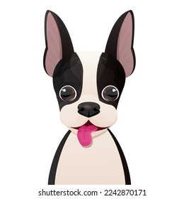 Boston terrier face, puppy head, portrait in cartoon style isolated on white background. Cute dog, print design