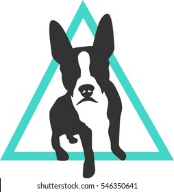 Boston Terrier or French Bulldog branding and logo concept