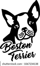 Boston terrier head silhouette with hand-written word