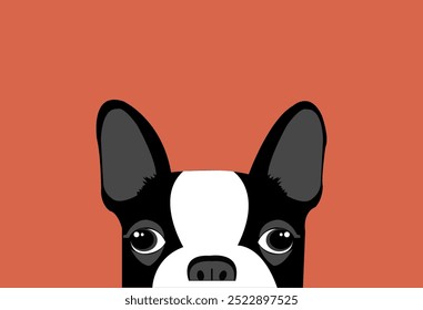 Ilustração Boston terrier meia cabeça