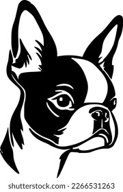 Boston Terrier outline only  dog head  vector illustration  black color  vector image