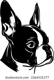 Boston Terrier outline only  dog head  vector illustration  black color  vector image