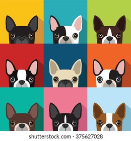 boston terrier pattern,vector full color